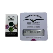 Auto THC-Victory autofem (Dutch Passion), Нидерланды